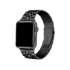Rainey Stainless Steel Band for Apple Watch
